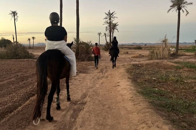 Private horseback ride in the Palmeraie of Marrakech - Guides, photos, and the human touch