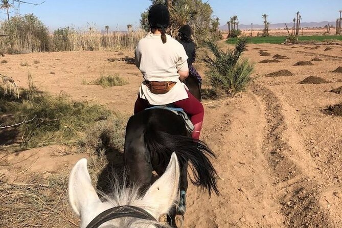Private horseback ride in the Palmeraie of Marrakech - How much value do you get for $45.36?