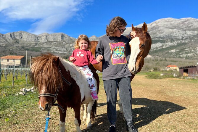 Private Horseback Riding and Family Time in Konavle Region - The picnic is more than a quick refreshment