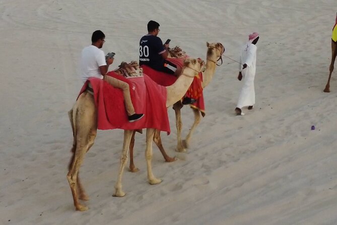 Private Horseback Riding Experience in Doha - What the private format really gives you