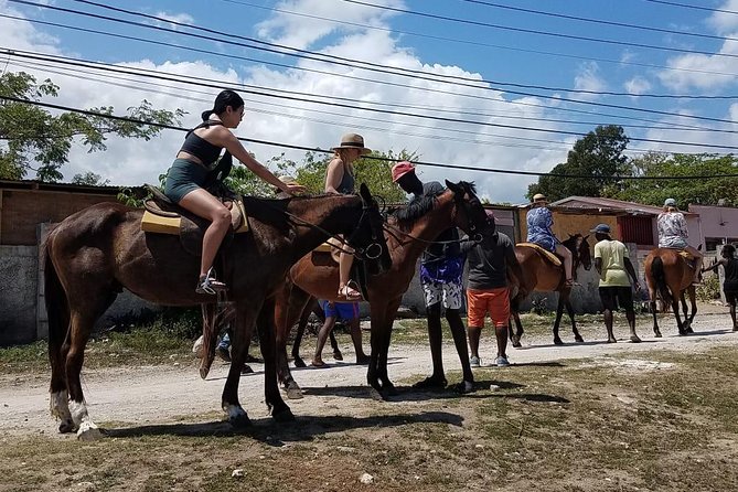 Private Horseback Riding from Ocho Rios with Guide - A simple transport plan from port or hotel