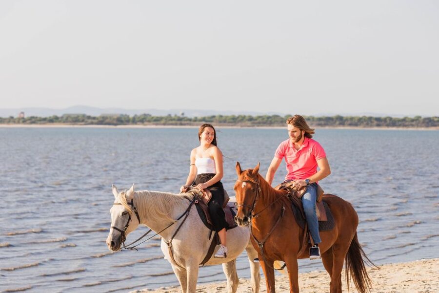 PRIVATE Horseback Riding On The Beach - Through forest and the Tejo reserve