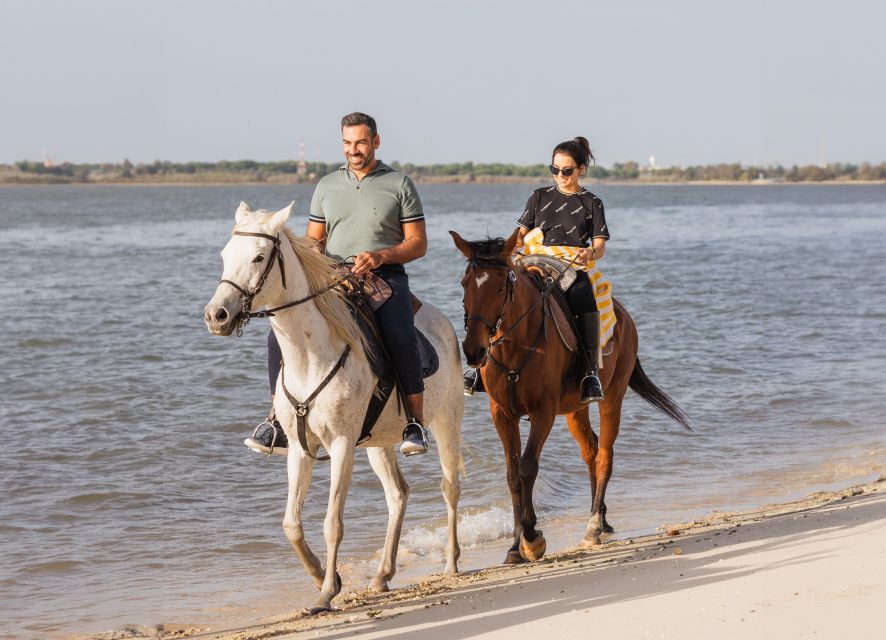 PRIVATE Horseback Riding On The Beach - The horses and saddles matter