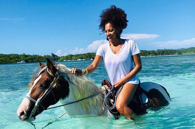 Private Horseback Riding, Swim & Blue Hole Secret Falls - What the north-coast route adds