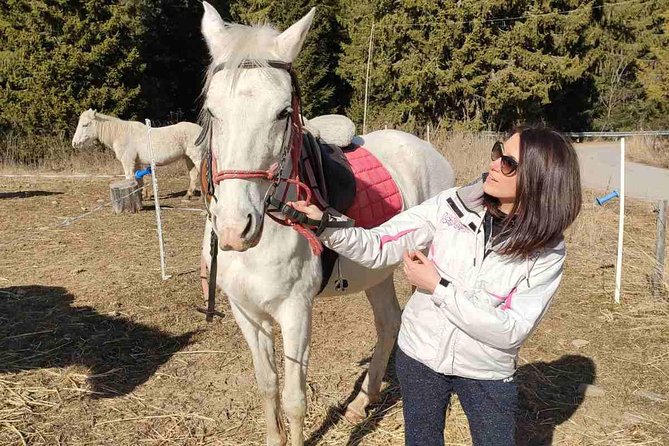 Private Horseback Riding the Rila Range - Vitosha Mountain completes the mountain picture