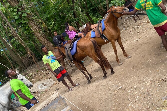 Private Horseback Riding with Blue Hole River Tour in Montego Bay - Blue Hole for one hour of water and movement