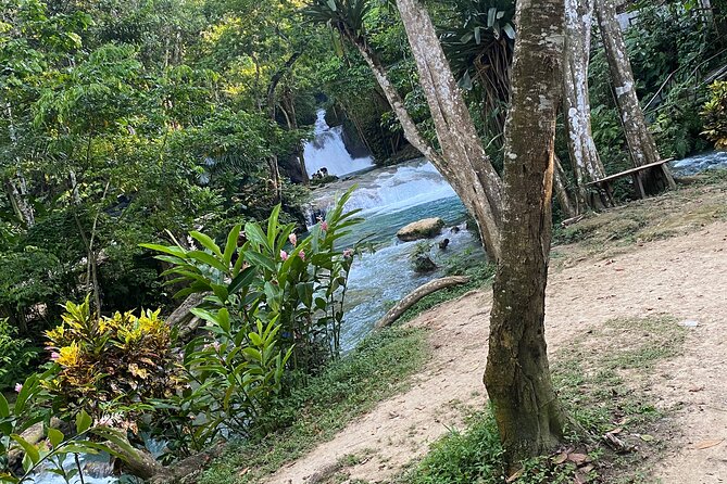 Private Horseback Riding with Blue Hole River Tour in Montego Bay - Who will enjoy this outing most