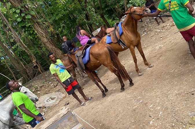 Private Horseback Riding with Blue Hole River Tour in Montego Bay - Booking timing, party size, and cancellation