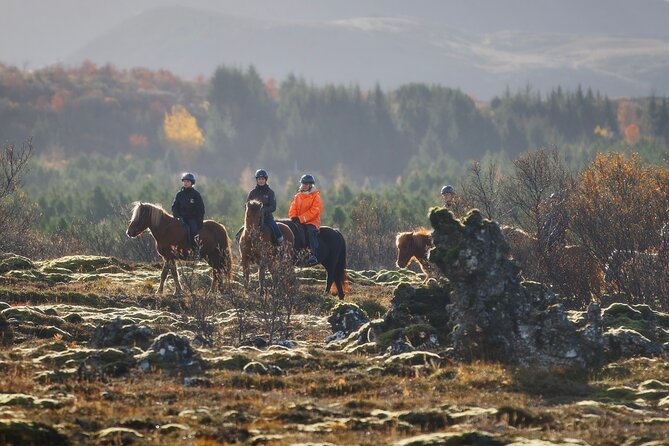 Private Icelandic Horseback Ride: Matched to Skill Level - Key points before you book
