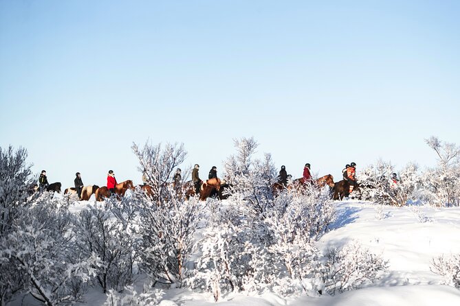 Private Icelandic Horseback Ride: Matched to Skill Level - Why matching the horse to your ability matters