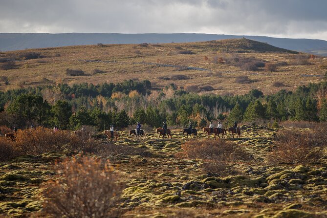 Private Icelandic Horseback Ride: Matched to Skill Level - Private touring gives you more control