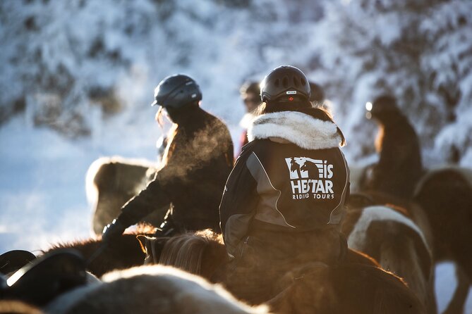 Private Icelandic Horseback Ride: Matched to Skill Level - Is 50 minutes enough?