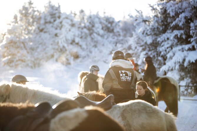 Private Icelandic Horseback Ride: Matched to Skill Level - Price, weather, and cancellation