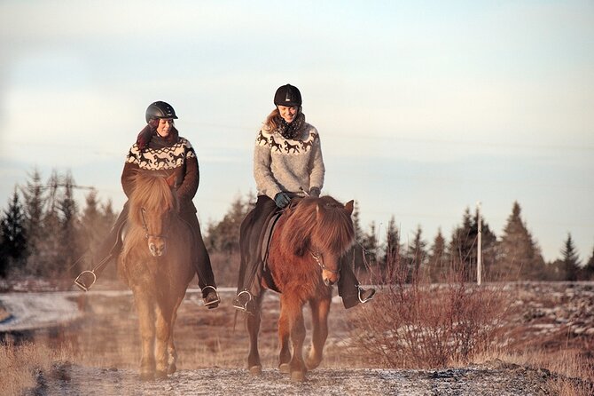 Private Icelandic Horseback Ride: Matched to Skill Level - What happens at Sörlaskeið 26