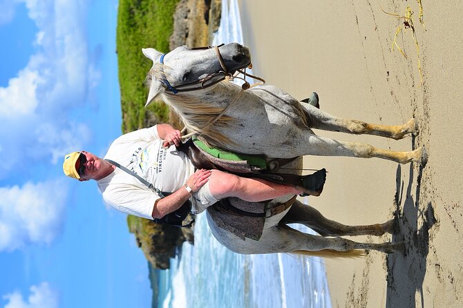 Private Macao Beach horseback riding in punta cana and Bayahibe - Walking, trotting, or cantering on the sand
