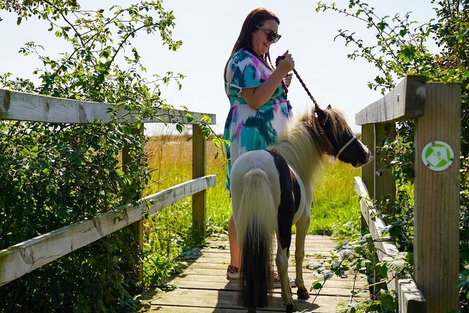 Private Miniature Horse Walking near Lincoln - Learning to lead, steer, and stop