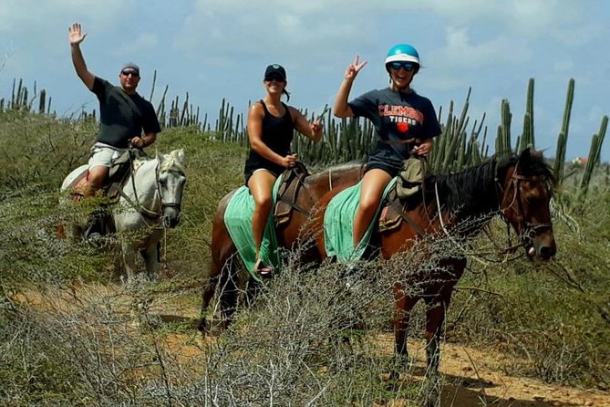 Private Sunset Horseback Ride - From hotel or cruise port to the Aruba countryside