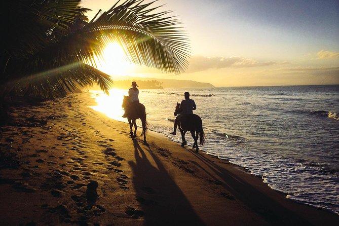 Private Sunset Horseback Riding in punta cana beach - Key points to know before you book
