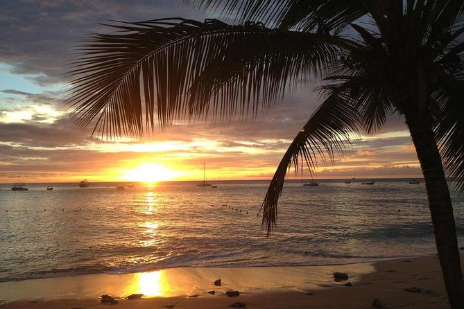 Private Sunset Horseback Riding in punta cana beach - Reaching the beach and the Atlantic views