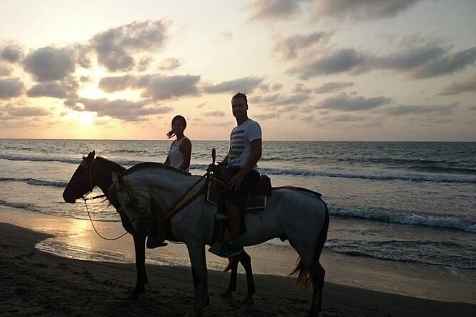 Private Sunset Horseback Riding in punta cana beach - Who will enjoy this ride most