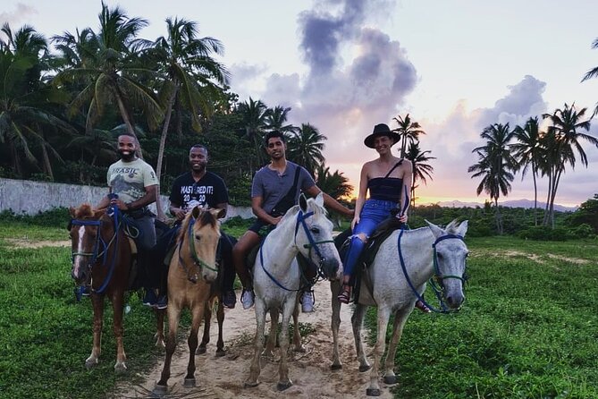 Private Sunset Horseback Riding in punta cana beach - A two-hour route through countryside and palms