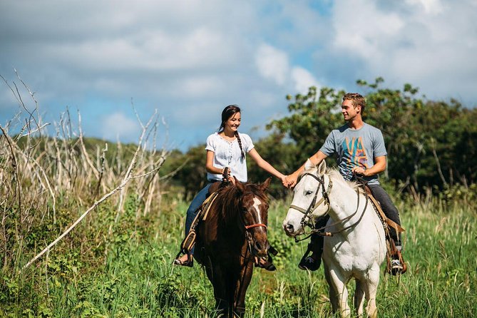 Private Sweetheart Horseback Ride - A private picnic ride above Oahu’s North Shore