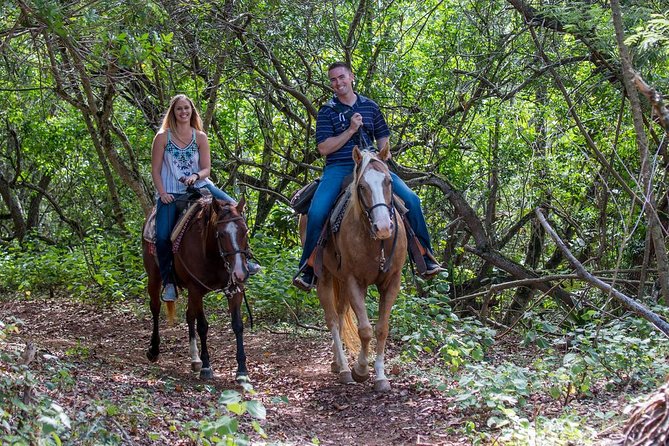 Private Sweetheart Horseback Ride - Why the horses matter to the experience
