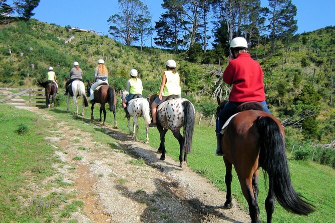 Private Tour - Horse Riding, Wine Tasting and Art Trail - Is $465.43 per person good value?