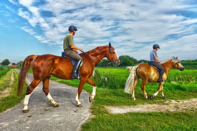 Private Tour Horseback Riding from Ocho Rios or Runaway Bay - Private groups, children, and cruise-port pickup