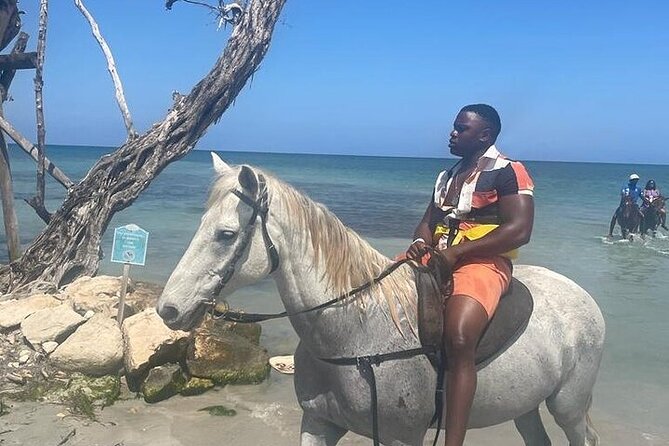 Private Tour to Dunns River and Horseback Riding with Local Guide - Private transport makes the six-hour schedule easier