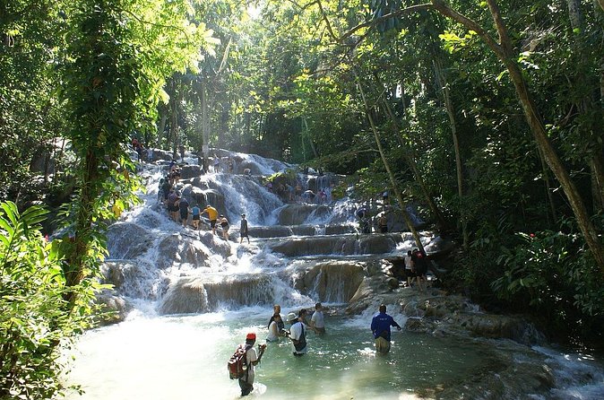 Private Tour to Dunns River and Horseback Riding with Local Guide - What the $115 price really covers