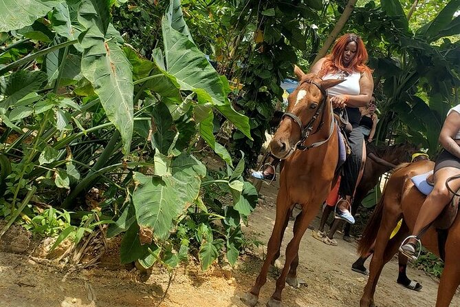 Private Tour to Dunns River and Horseback Riding with Local Guide - Who will enjoy this combination most