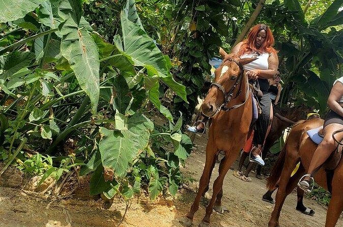 Private Tour to Dunns River and Horseback Riding with Local Guide - Practical preparation for the day