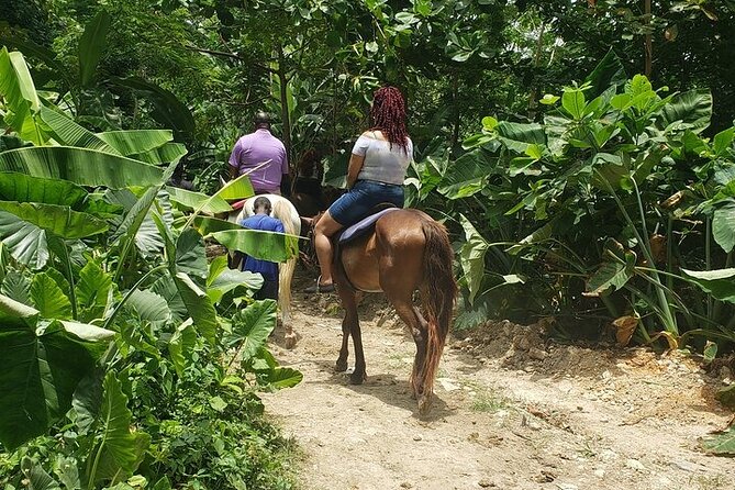 Private Tour to Dunns River and Horseback Riding with Local Guide - Green adds more than transportation