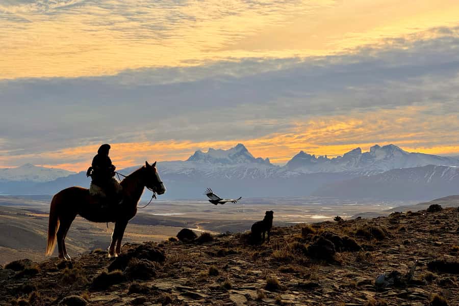 Puerto Natales: Full Day Horse Riding to the Mountains - FAQ