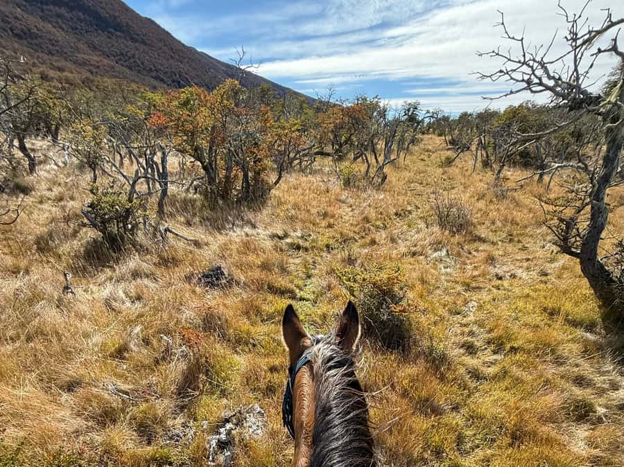 Puerto Natales: Full Day Horse Riding to the Mountains - Mindfulness without pressure