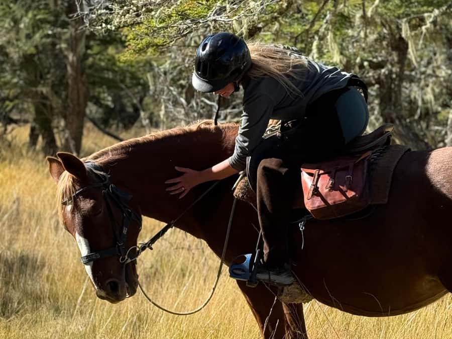 Puerto Natales: Full Day Horse Riding to the Mountains - What the $360 price really covers