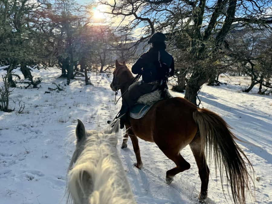 Puerto Natales: Full Day Horse Riding to the Mountains - A homemade picnic beside the route
