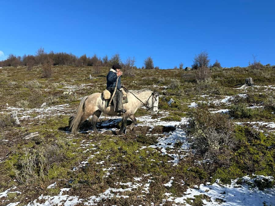 Puerto Natales: Horseback Riding to Dorotea Fjord Lookout - Riding from Puerto Natales toward Cerro Dorotea