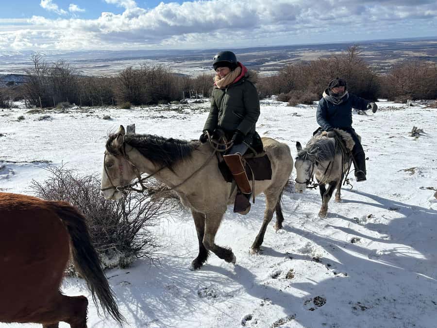 Puerto Natales: Horseback Riding to Dorotea Fjord Lookout - Reaching the Cerro Dorotea fjord lookout