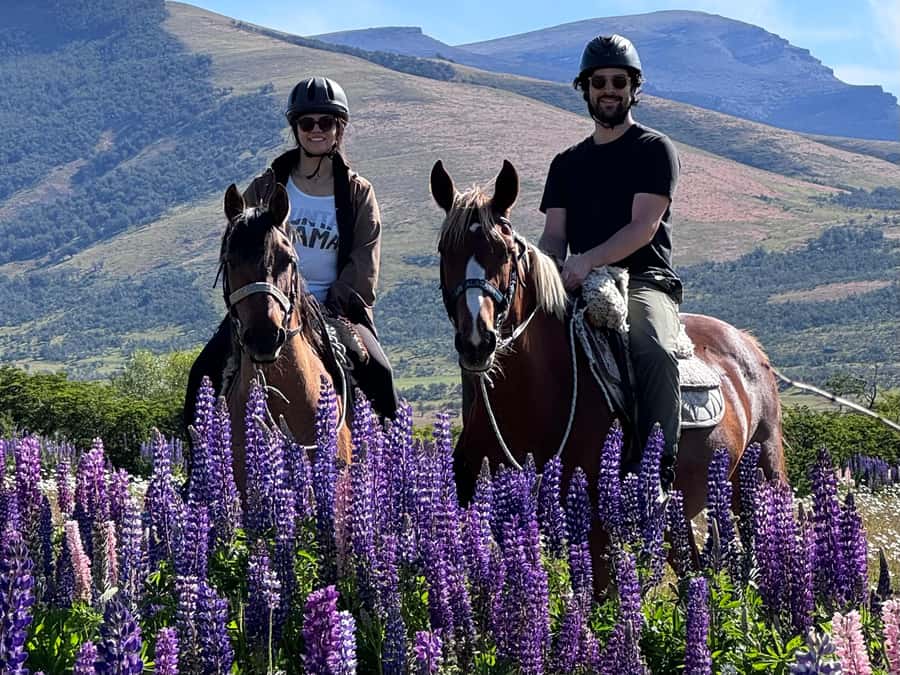 Puerto Natales: Horseback Riding with Horse Connection - A horse-first morning at Hotel Posada 3 Pasos
