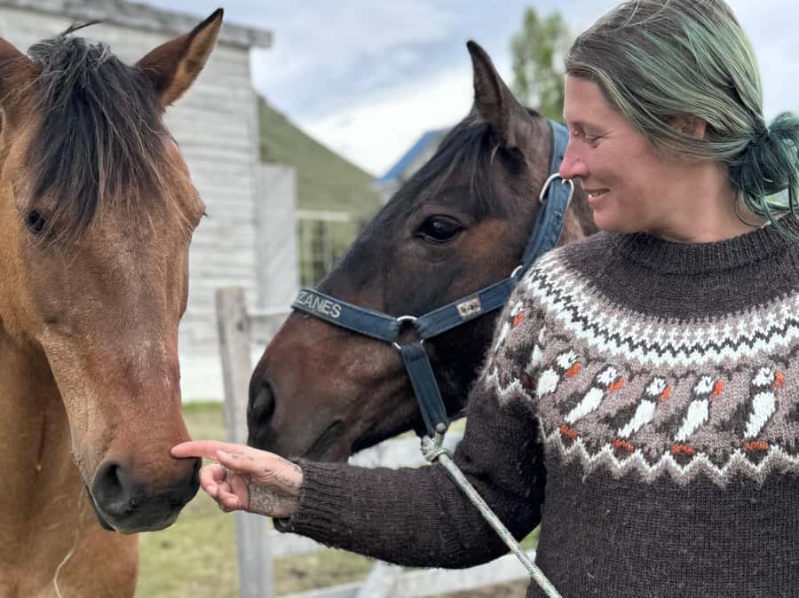 Puerto Natales: Horseback Riding with Horse Connection - Safety and riding guidance before the trail