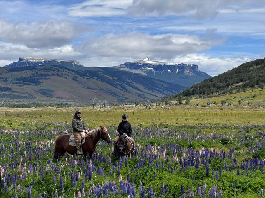 Puerto Natales: Horseback Riding with Horse Connection - The full-day route and woodland picnic