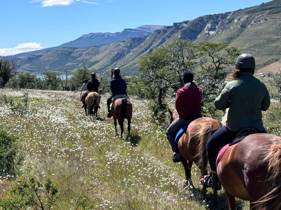 Puerto Natales: Horseback Riding with Horse Connection - Returning to the barn and saying goodbye