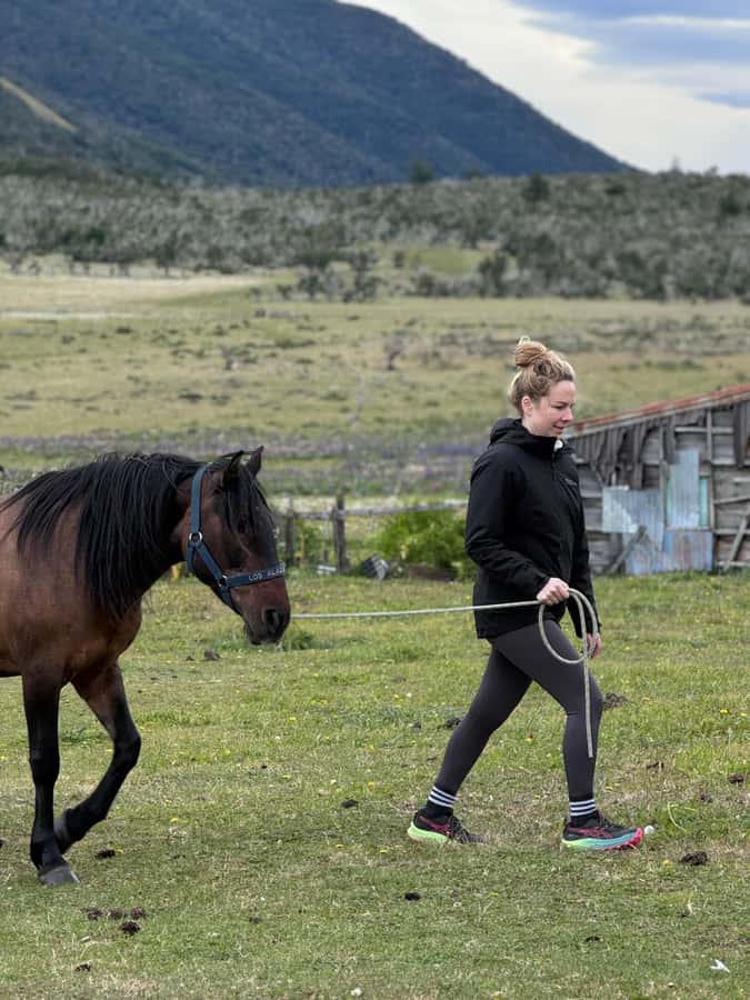 Puerto Natales: Horseback Riding with Horse Connection - What the $150 price gets you