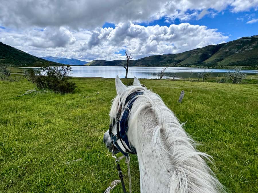 Puerto Natales: Horseback Riding with Horse Connection - Should you book Horse Connection Patagonia?