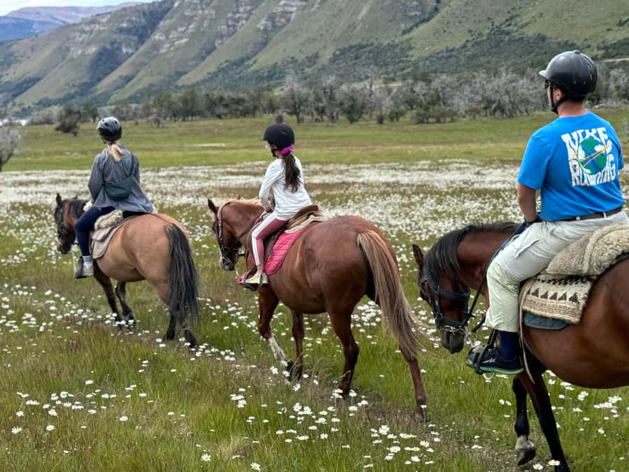 Puerto Natales: Horseback Riding with Horse Connection - Riding north toward Lake Figueroa