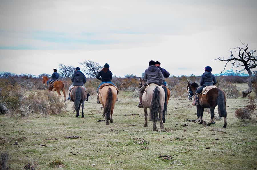 Puerto Natales: Traditional Horseback Riding Experience - Key things to know before you ride