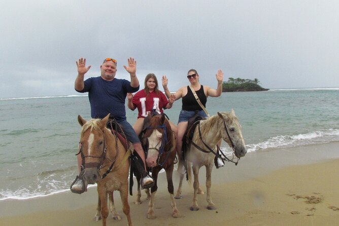 Puerto Plata City Horseback Riding Tour ,Rios,Beaches and Countryside - Coffee, cocoa, fruit, and traditional chocolate