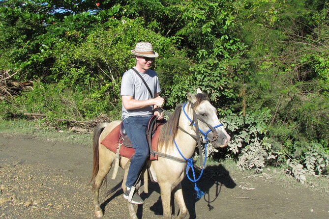 Puerto Plata City Horseback Riding Tour ,Rios,Beaches and Countryside - What the personal service may feel like